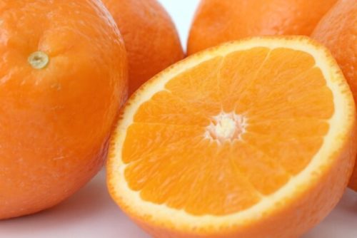 オレンジスイートの香りの元になるオレンジ